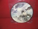 In Flames-Reroute to Remain  PIcture disc 2002