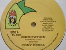TONY REBEL Meditation on FLAMES   digital roots 12
