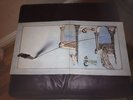 GENESIS. TRESPASS.CHARISMA 1ST PRESS.MINT GATEFOLD,INSERT,& VINYL.