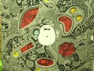 MENOMENA Friend And Foe LP Death Cab Craig Thompson