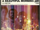 THE YOUNG RASCALS   A BEAUTIFUL MORNING    PICTURE SLEEVE + 45