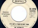 THE INTIMATES (Early Lou Reed) Garage Hot Rod Epic PROMO  **HEAR IT**