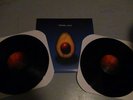 Pearl Jam double vinyl near mint self titled s/t avocado record life wasted