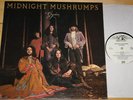 GRYPHON   MIDNIGHT MUSHRUMPS   VERY RARE UK VINYL PROG FOLK LP RECORD 1974