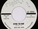 ROB +MIKE private garage teen folk rock 45 “Crying Too Hard”on RIGHT nm HEAR