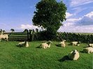 The KLF - Chill Out Vinyl LP Album 1990