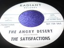 Hear Rare Psych Soul 45 Dian James The Satisfactions