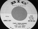 TOM & JERRY  WLP PROMO 45 DJ COPY 