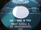 1965 45 Rpm Buddy Randell & The Knickerbockers ALL I NEED IS YOU / BITE BITE BAR