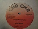 Peter Broggs Never forget Jah Killer 1980 roots Listen