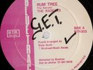 12 INCH / THE RADICALS / RUM TREE / LISTEN