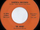 Rare Modern Soul 45: LOIS JOHNSON on Sabteca 