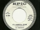 Rockn'roll 45- Jim Robinson Epic 5-9234 dj Buddy Holly