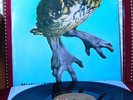 BRAINCHILD : Healing of the Lunatic owl - 1970 A&M records PROGRESSIV ROCK - UK