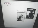 Opal – Happy Nightmare Baby  ***LP*** 1987