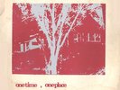 Greenwood Curlee & Clyde One Time private psych-folk LP