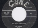 Sam Hawkins The Whatchamacallit  WILD BLACK ROCKER ROCKABILLY 45 HEAR