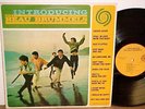 INTRODUCING THE BEAU BRUMMELS MONO ORIGINAL LP