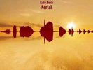 Kate Bush Aerial LP Vinyl