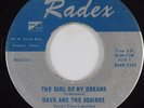 Garage 45 DAVE & THE SQUIRES The Girl Of My Dreams RADEX HEAR