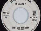 Garage Mod 45 GALAXIES IV Don't Lose Your Mind RCA VICTOR HEAR