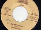 TX rockabilly The Moonlighters JOSIE 843 (( Listen )) Broken heart