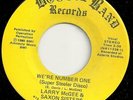 LARRY MCGEE We're Number One Modern Soul Boogie Funk 45