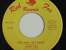 TERRY LEE 45 RECORD HEY BABY HEY SUGAR DJ PITTSBURGH RARE FIND