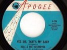 HALE & the HUSHABYES Yes Sir Apogee 7