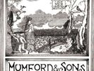 Mumford and Sons Love Your Ground EP  Perfect condition Very Rare