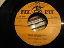 Rare Rockabilly RE Dave Diddle Day Blue Moon Baby Fee Bee 45