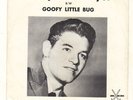 ROCKABILLY 45 + PICTURE SLEEVE on DEWL--LOWELL KNIPP---HEAR BOTH