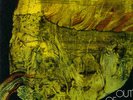 OUT OF FOCUS same Kuckuck LP SEALED MINT KRAUT PROG GOMORRAH XHOL CARAVAN