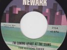 NORTHERN SOUL 45 RPM - THE KITTENS THREE on NEWARK RECORDS