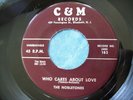 RARE DOO-WOP 45 THE NOBLETONES - WHO CARES ABOUT LOVE orig C&W 182 northern soul