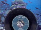THE SCAVENGERS 45 BOGUS SURF HOT ROD 7