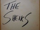 AUSSIE - THE SHEIKS - LEOPARD SKIN PILLBOX HAT/ETC - 7