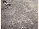 NICOLAS JAAR - 'SPACE IS ONLY NOISE' - LP - OOP, MINT & UNPLAYED, kompakt, warp