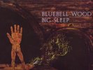 BIG SLEEP Bluebell Wood UK Pegasus 1971 orig prog psych