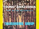 THEODORKING GROUP - Young Amazzonia - MAD ITALIAN PROG PSYCH FUNK 45