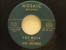 JACK COSTANZO - LATIN SOUL SURF EXOTICA - 'CATWALK / COWABUNGA' -  *LISTEN*