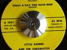 LITTLE RONNIE & CHROMATICS on HLS - HEAR - MEGA-RARE Funk & Deep Soul 45 LISTEN
