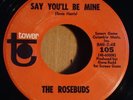 Rare Northern Soul / The Rosebuds - Say You'll Be Mine / Mama Said +Tower Sleeve