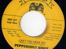 WI Monster Fuzz Garage Psyche Peppermint Ridge BLUE EAGLE 137 / 8 (( LISTEN ))