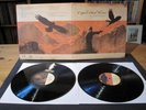 crippled black phoenix-a love of shared disasters-doppel vinyl