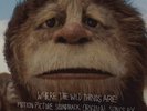 Karen O and the Kids-Where the Wild Things are OST OOP yeah yeah yeahs spike
