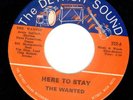 GARAGE PSYCH 45 The Wanted HERE TO STAY on DETROIT SOUND 222