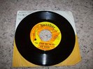 45-IVANHOE PROMO-VON RUDEN-SPIDER & THE FLY/JUDY-MICHIGAN GARAGE FUZZ/PSYCH