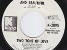 TWO TONS OF LOVE Brown And Beautiful NORTHERN SOUL HEAR rare crossover funk 45