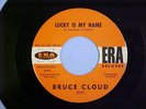 Bruce Cloud 